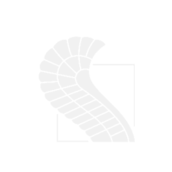 123